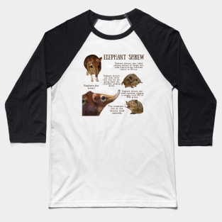 Animal Facts - Elephant Shrew Baseball T-Shirt